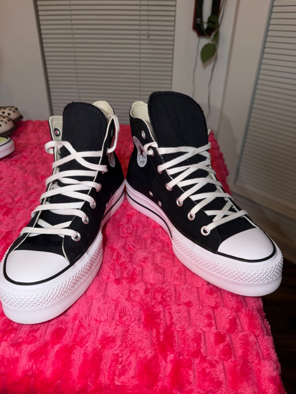 Converse High-Top Sneakers in Black and White